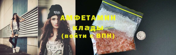 хмурый Алзамай