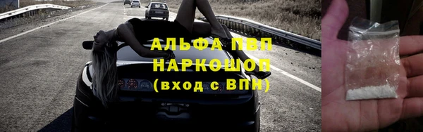 хмурый Алзамай