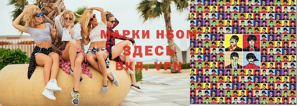 хмурый Алзамай