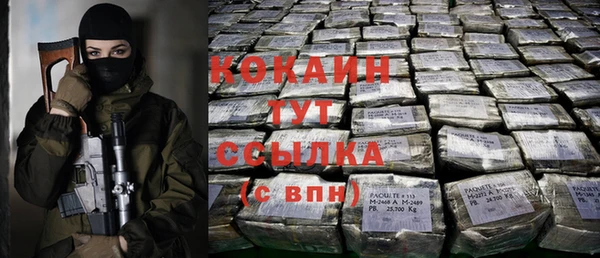 хмурый Алзамай