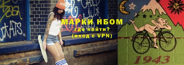 хмурый Алзамай