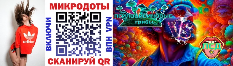 Псилоцибиновые грибы Psilocybine cubensis  Шенкурск 